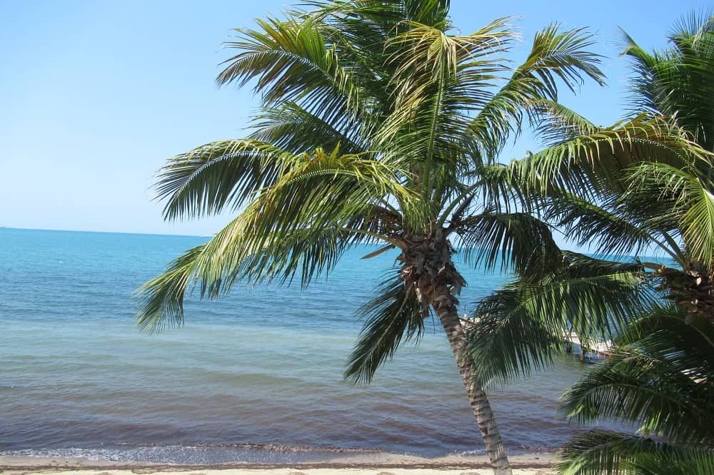 bezienswaardigheden belize hopkins strand