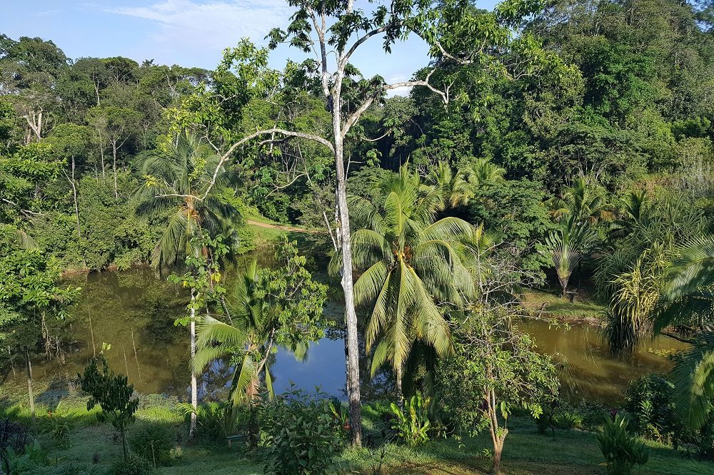 boca tapada 1 boca tapada 1