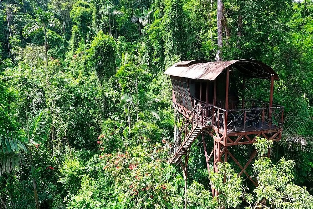 boomhut boca tapada 1