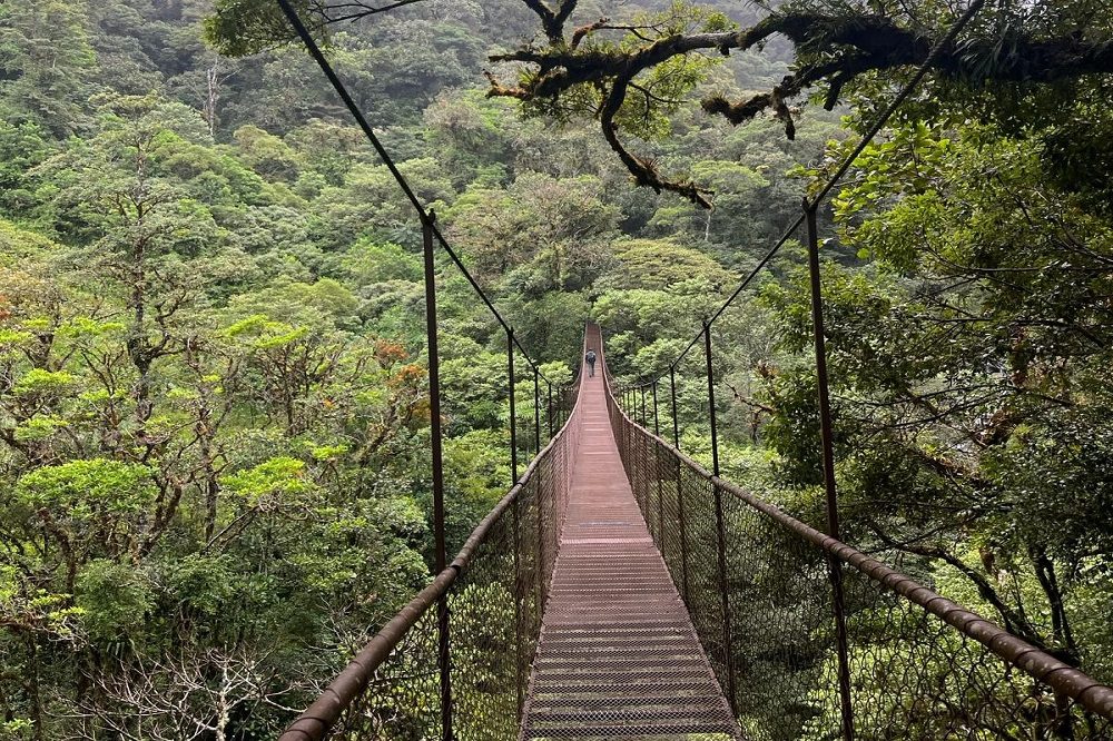 boquete hangbrug panama hoogtepunten