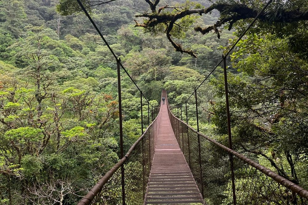 boquete hangbrug panama luxe reis