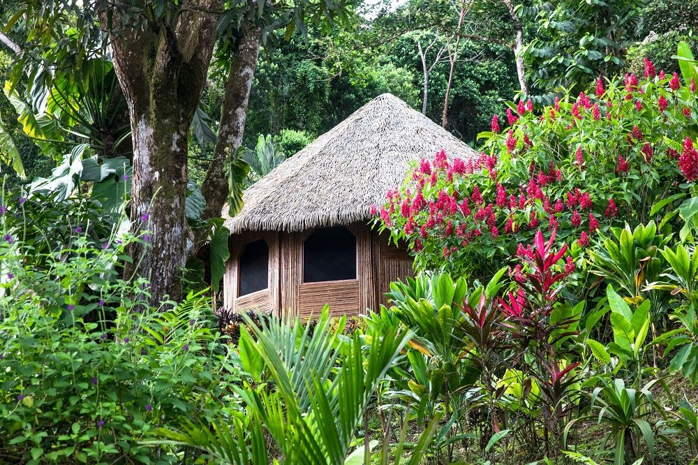 bungalow nationaal park corcovado