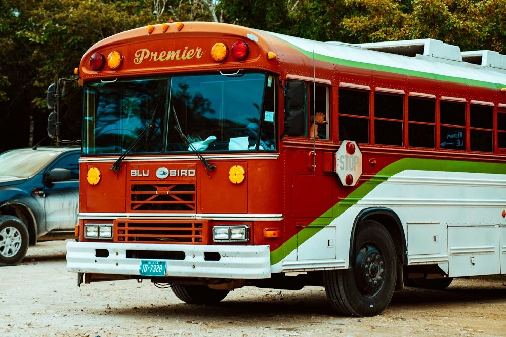 bus belize bus belize