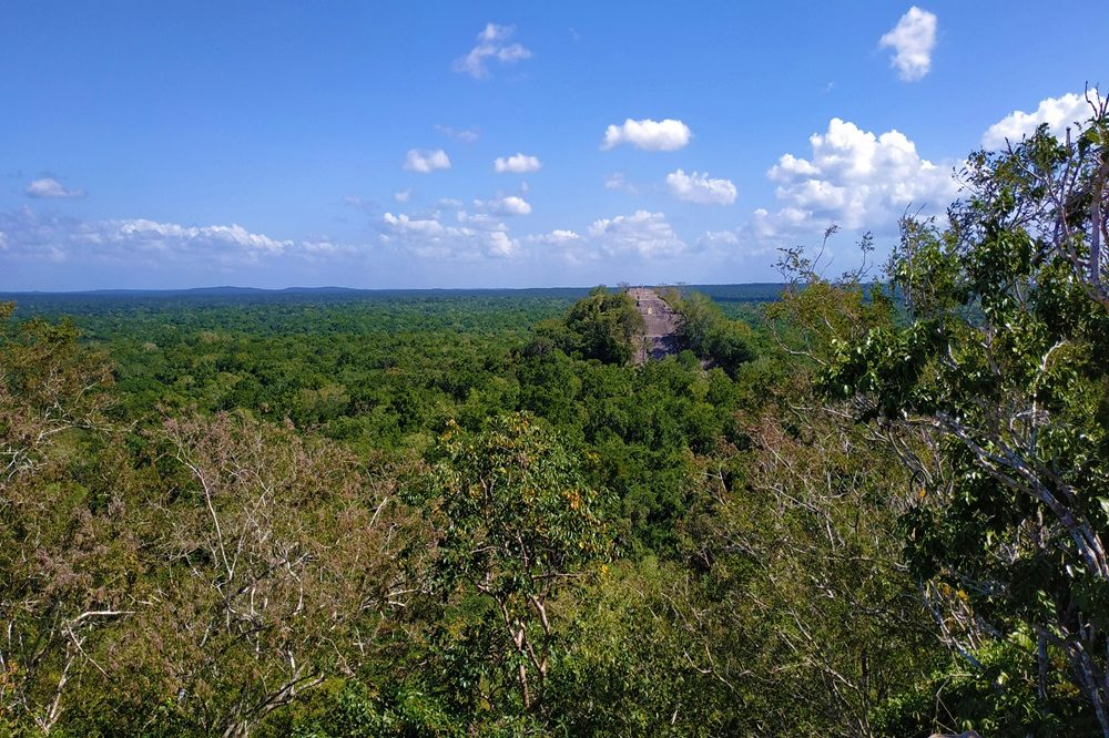 calakmul 1