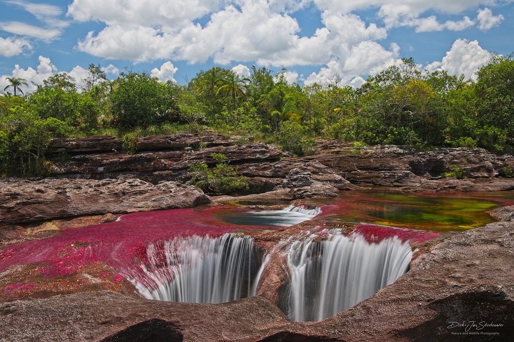 cano cristales colombia 6