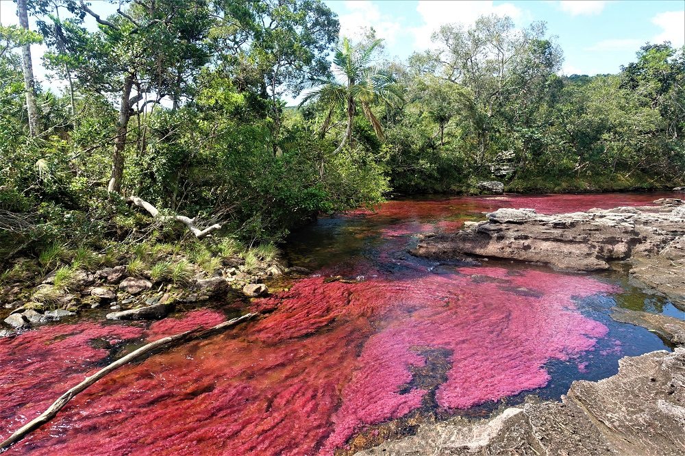 cano cristales rondreis colombia cano cristales rondreis colombia