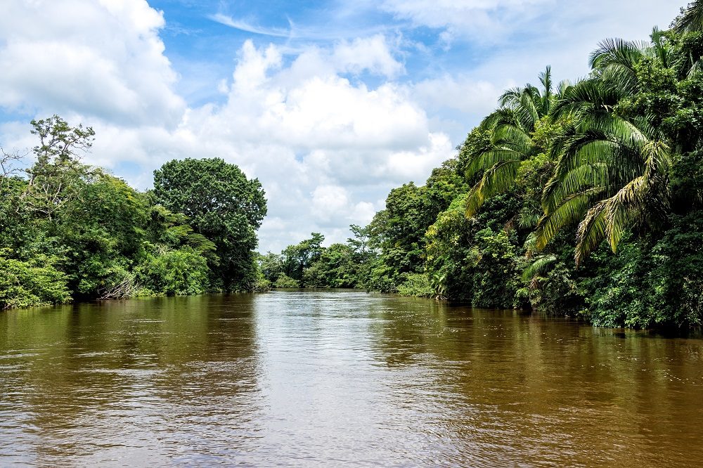 cano negro rio frio costa rica