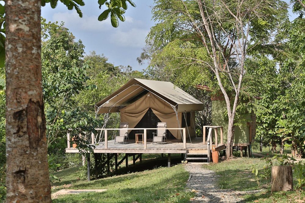 canopy camp panama canopy camp panama