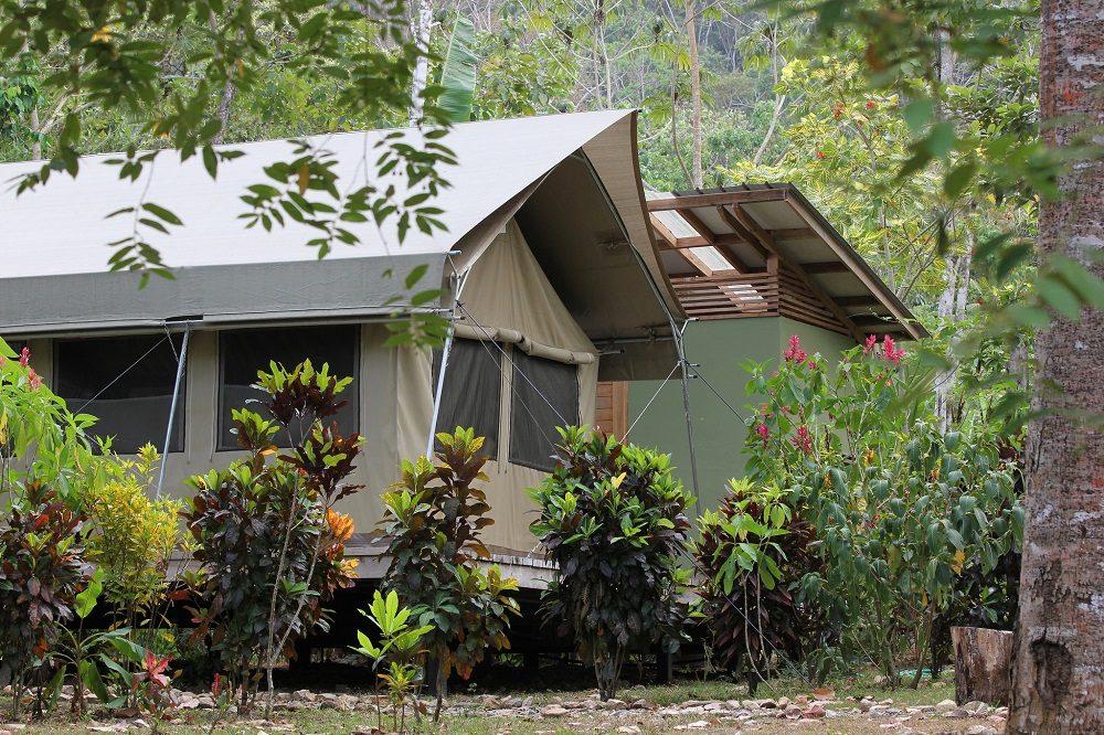 canopy camp vogelreis panama