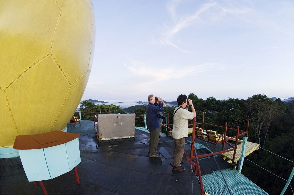 canopy tower vogelreis panama canopy tower vogelreis panama