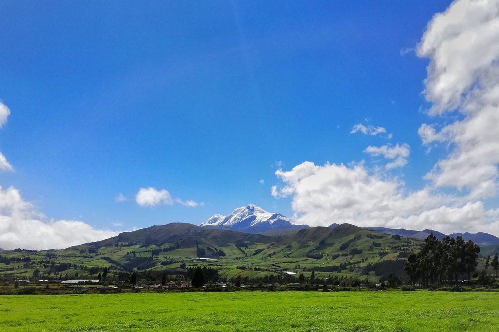 cayambe ecuador reis cayambe ecuador reis