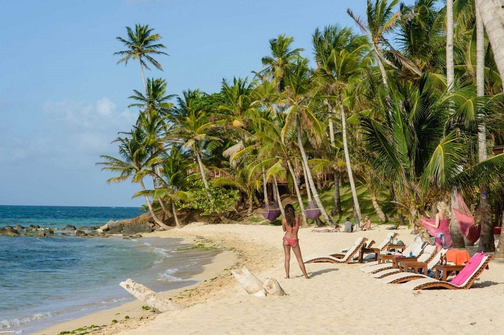 corn island 4