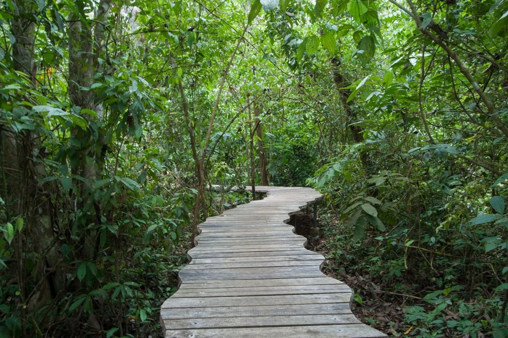 costa rica danta lodge costa rica danta lodge