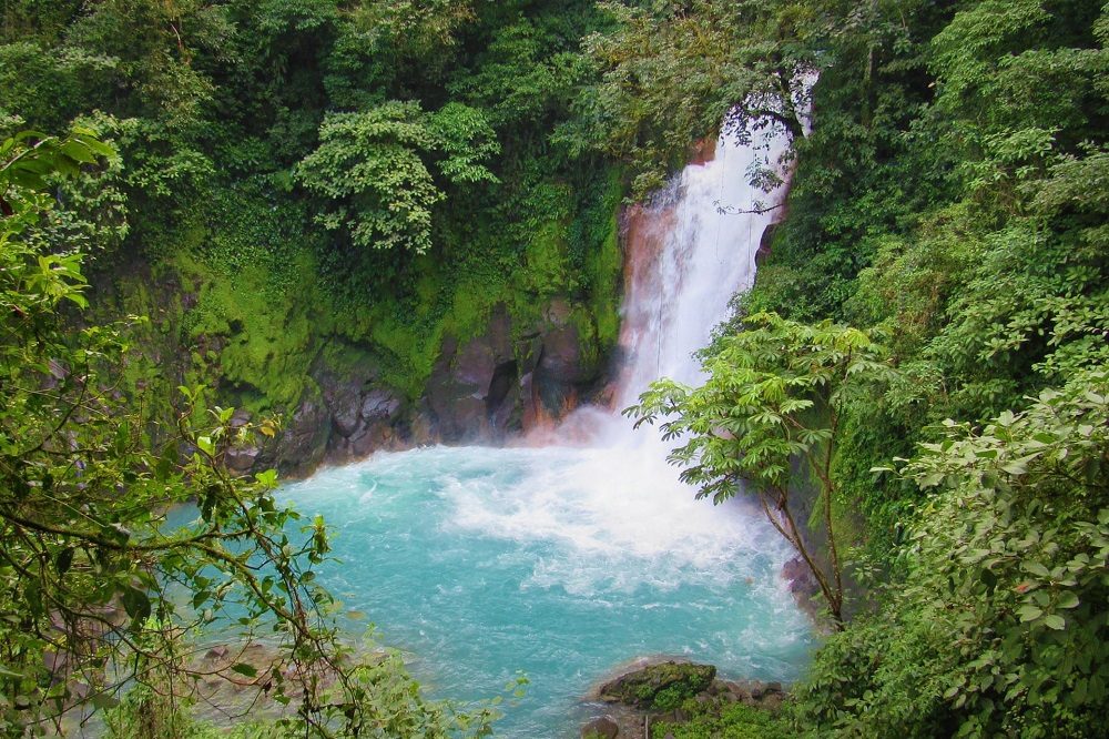 costa rica hoogtepunten tenorio