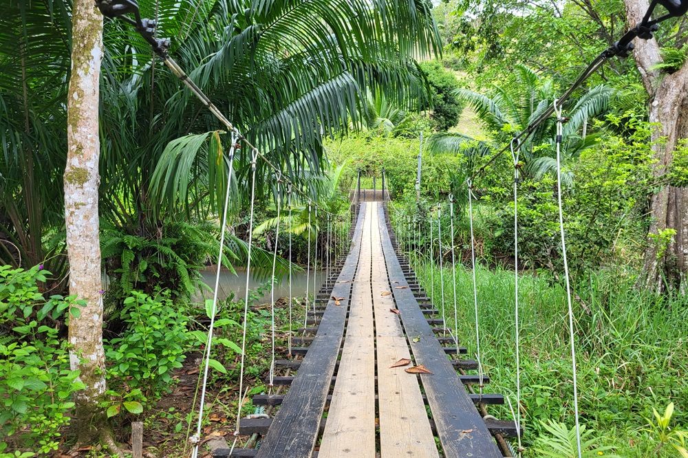 drake bay hangbrug