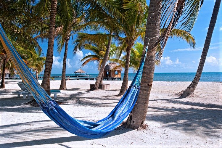 duikreis belize ambergris caye duikreis belize ambergris caye