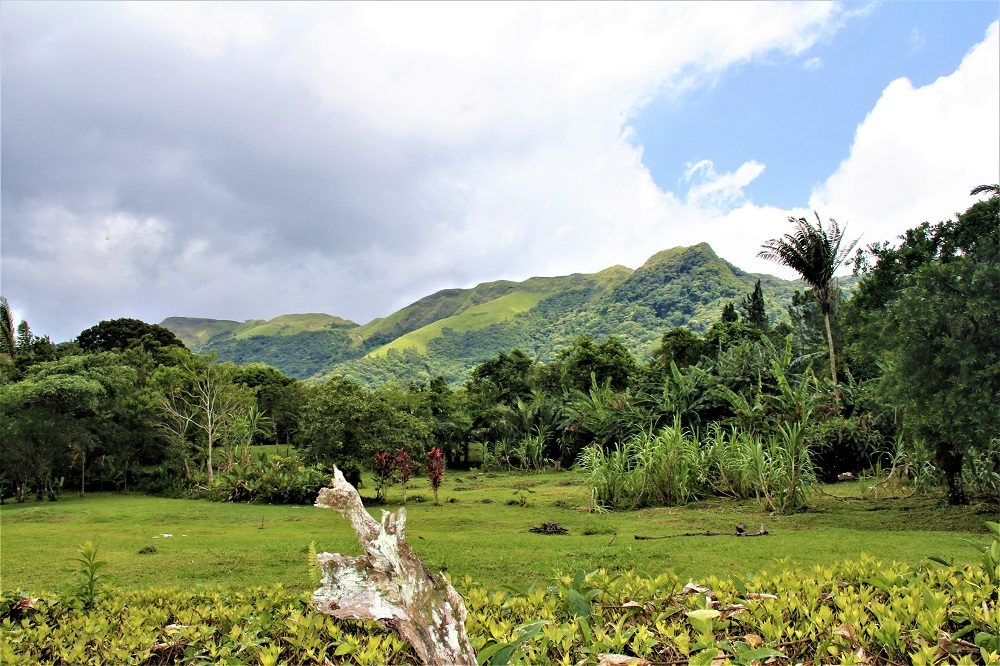 el valle de anton vogelreis panama