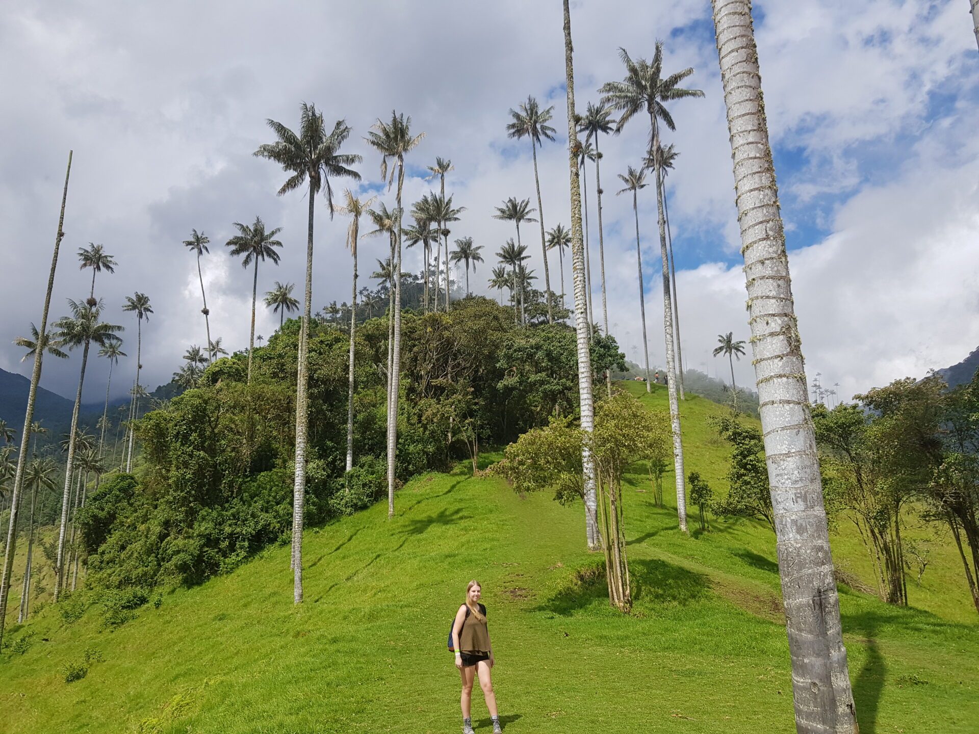 elise vallei cocora scaled