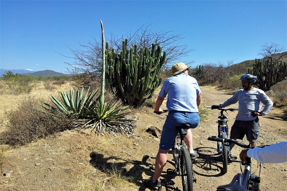 fietstocht oaxaca teotitlan