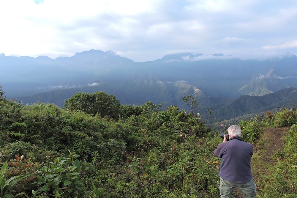 fotograaf vogelreizen