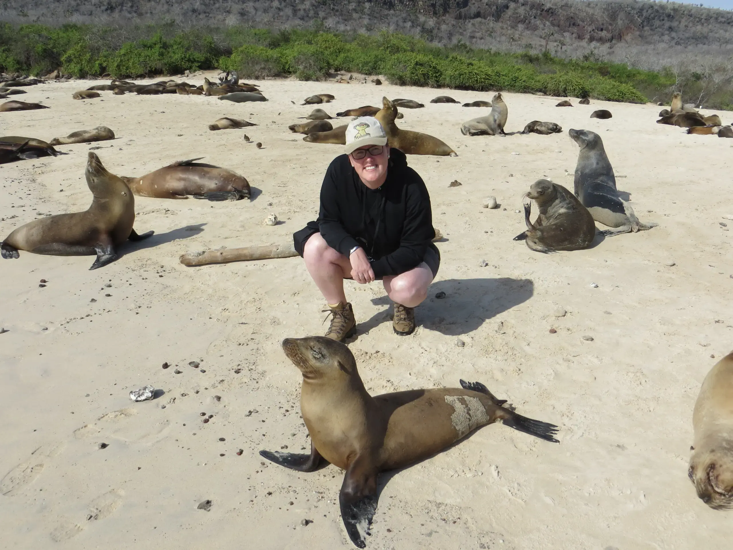 galapagos corine scaled