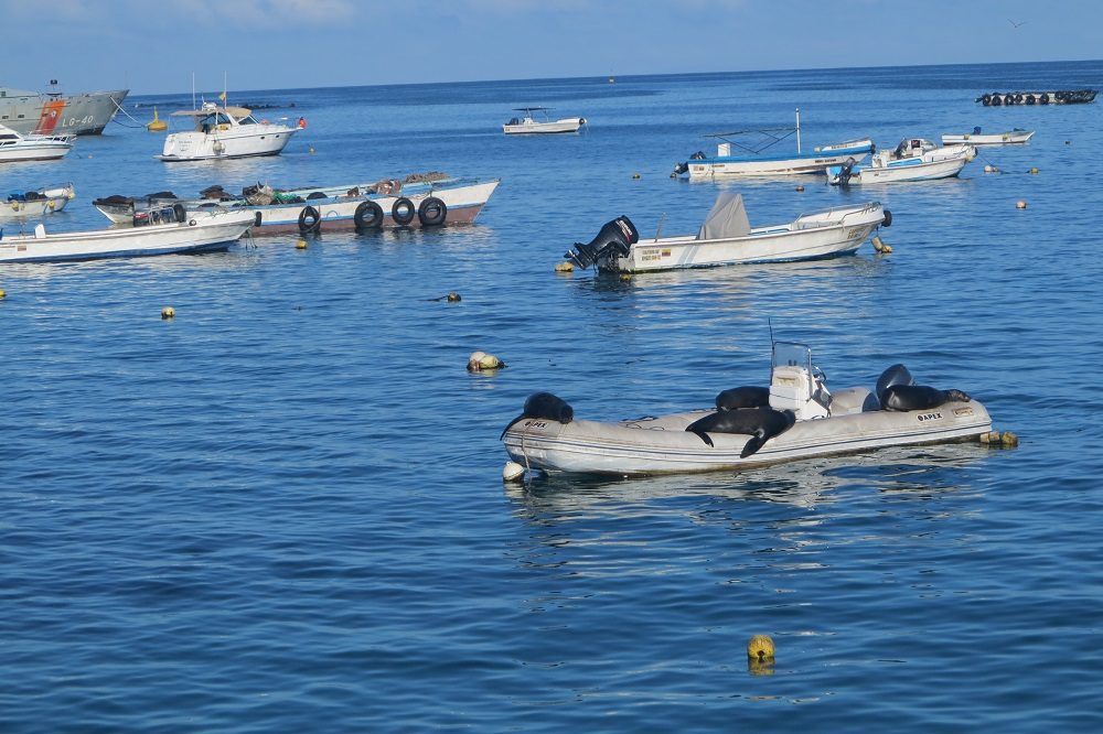 galapagos eilanden boten galapagos eilanden boten