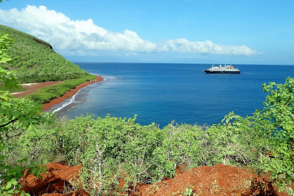 galapagos rabida