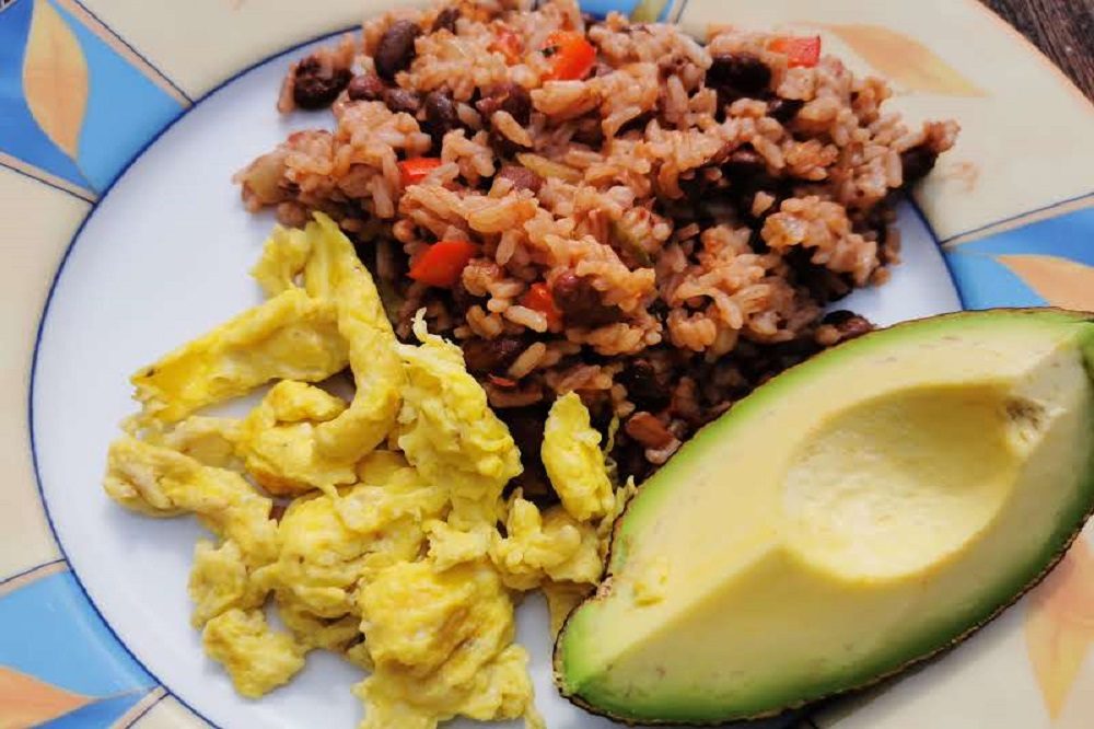 gallo pinto