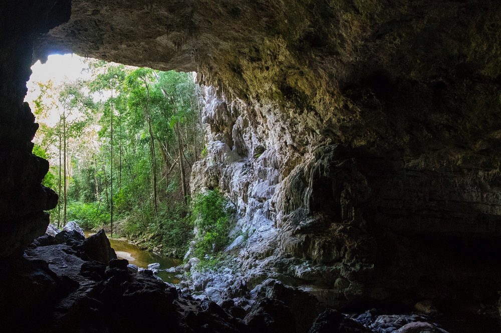 grot in belize grot in belize