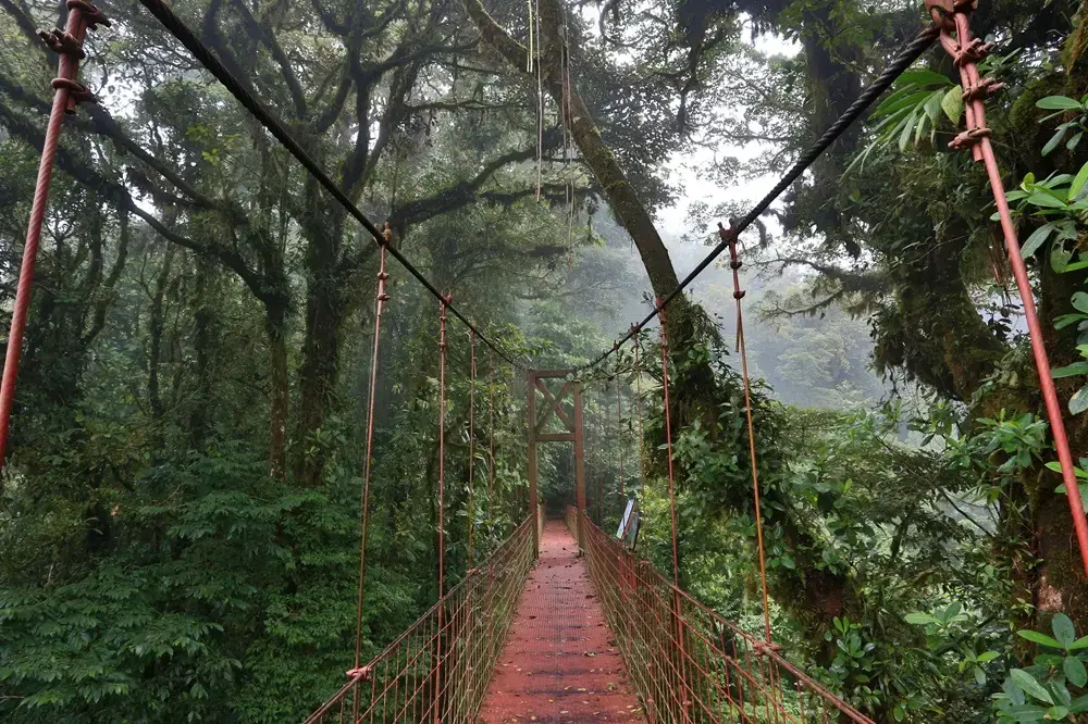 hangbrug monteverde 1 jpg