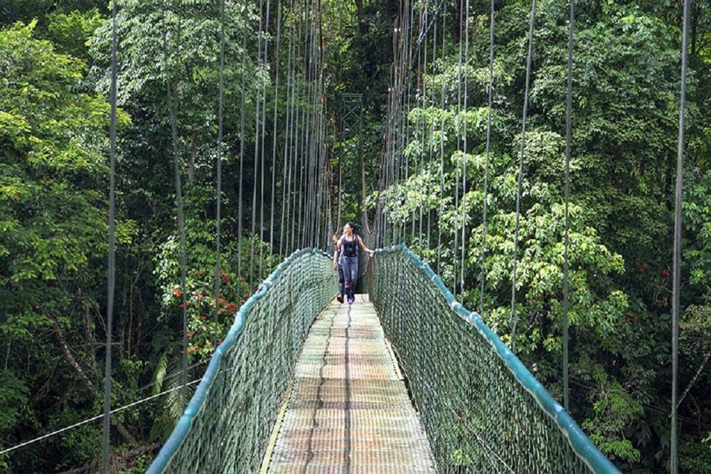 hanging bridge sarapiqui