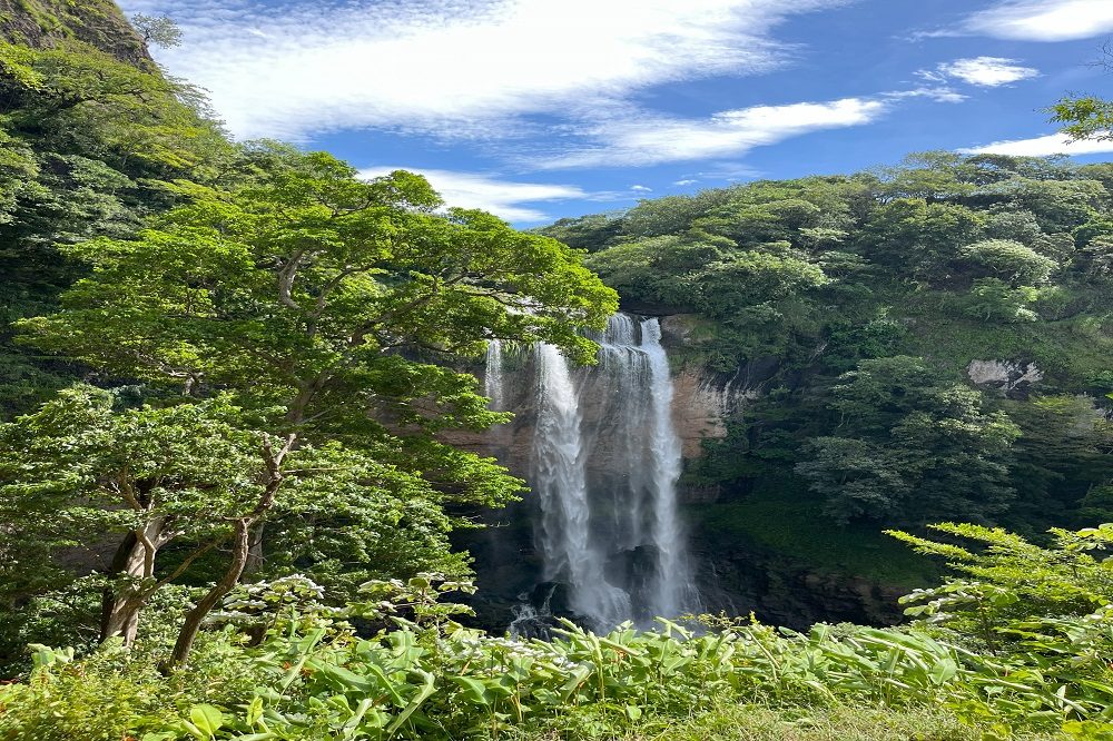 hoogste waterval van Panama