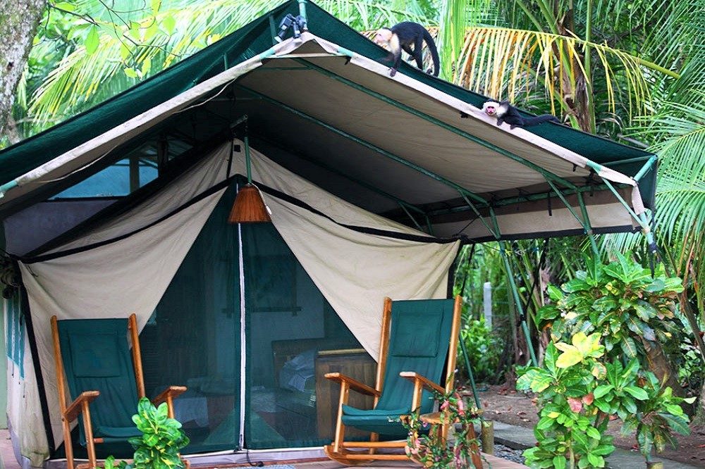 hotel apen matapalo hotel apen matapalo