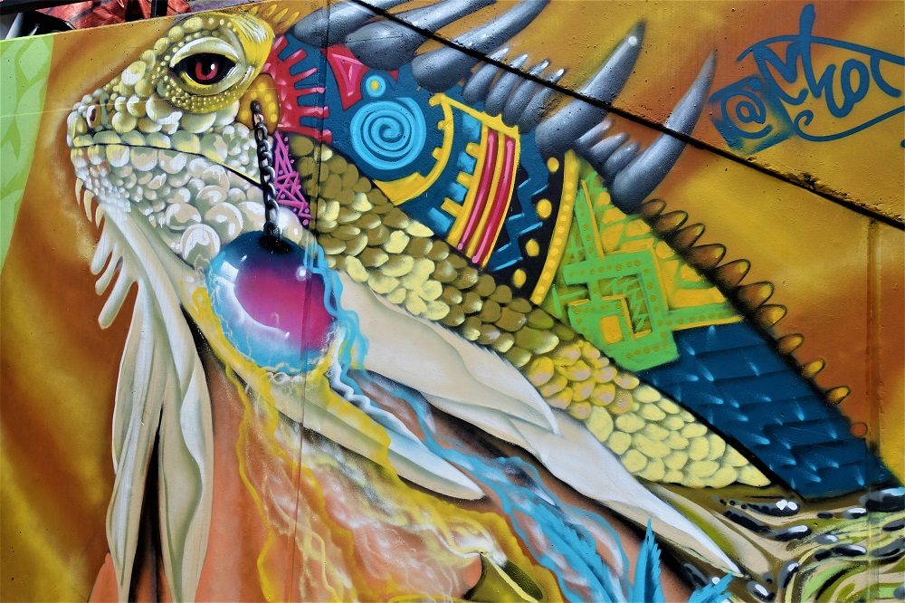iguana comuna 13
