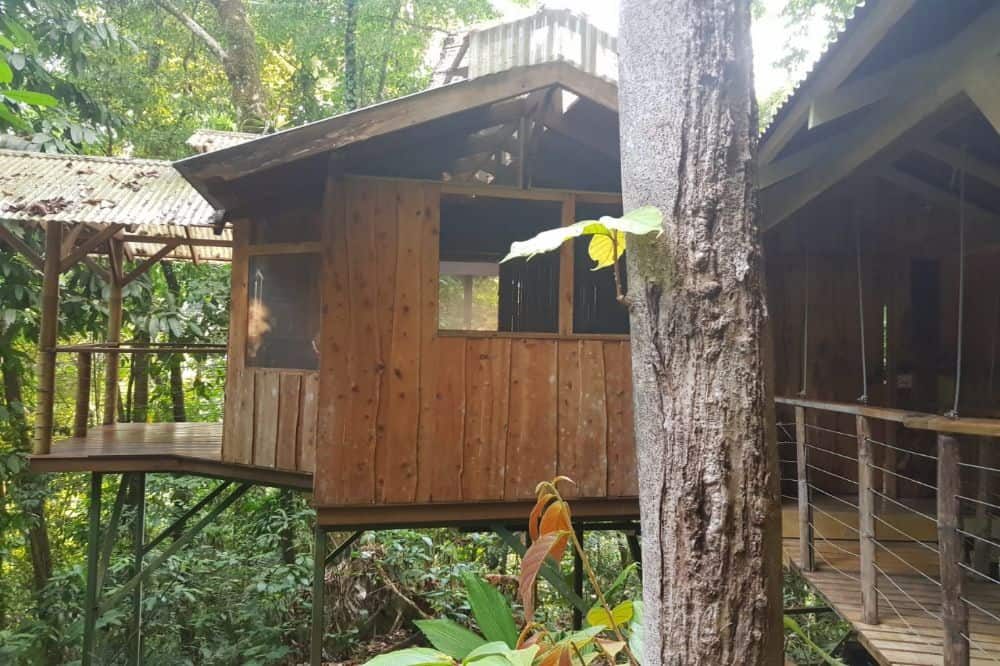 image 2019 04 26 10 image 2019 04 26 10