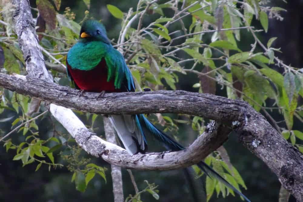 image 2019 04 26 12 image 2019 04 26 12