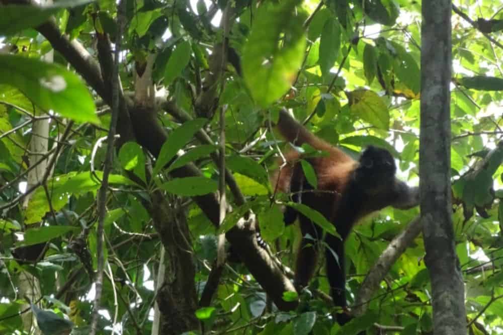 image 2019 04 26 8 image 2019 04 26 8