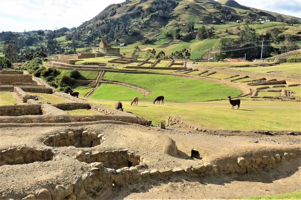 ingapirca rondreis ecuador en galapagos ingapirca rondreis ecuador en galapagos