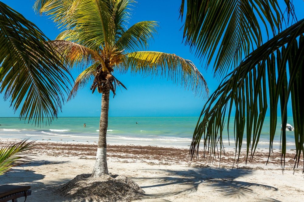 isla holbox rondreis mexico isla holbox rondreis mexico