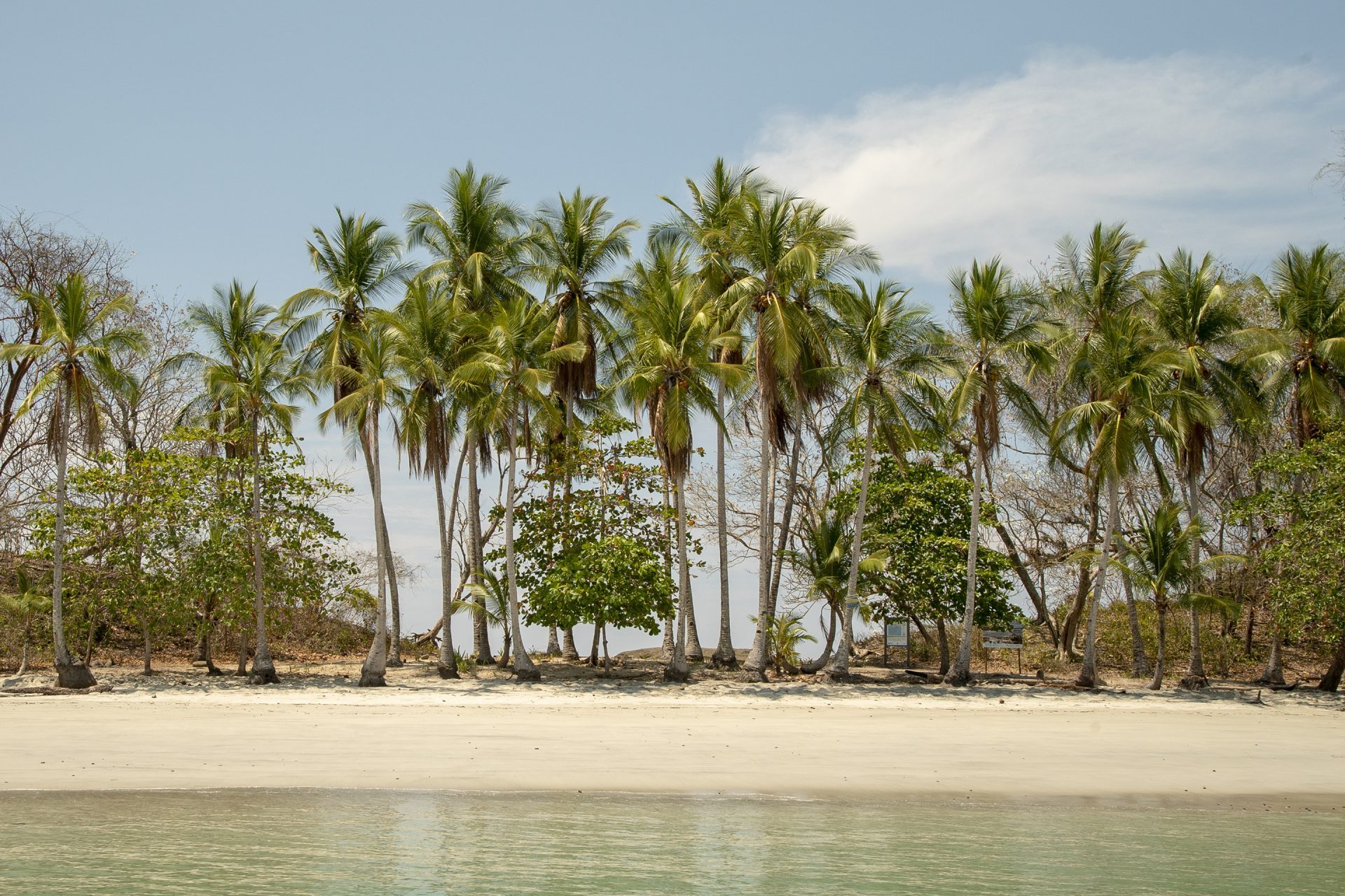 island tour lustrumreis