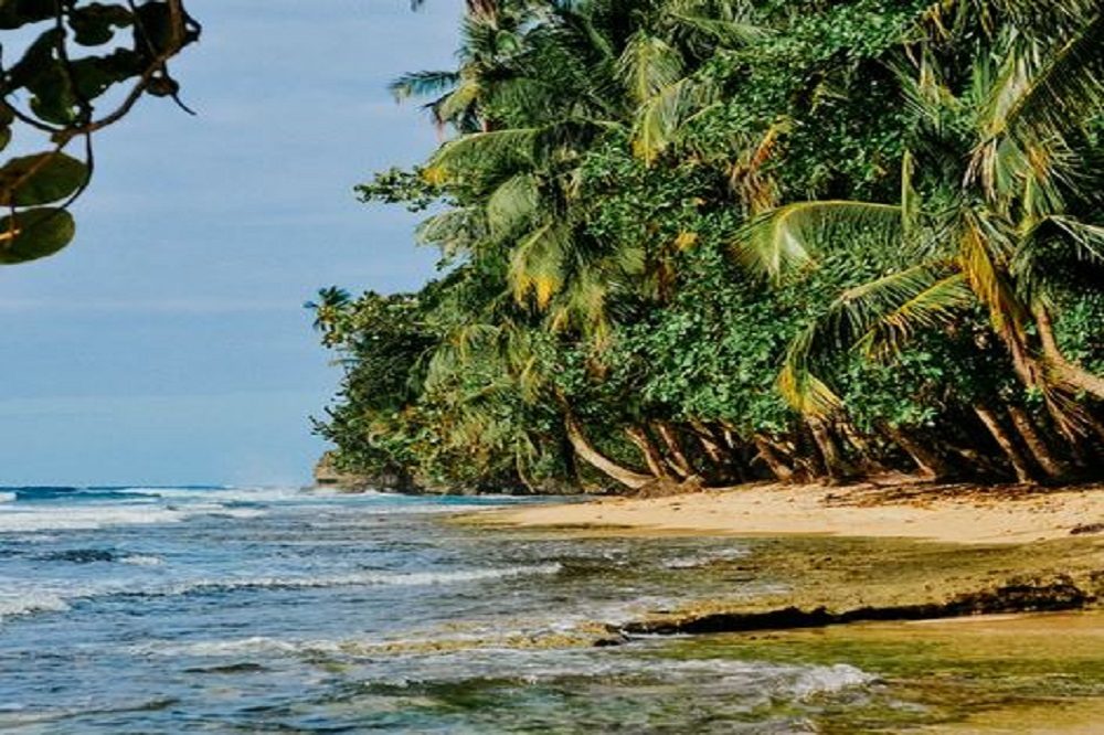 manzanillo manzanillo