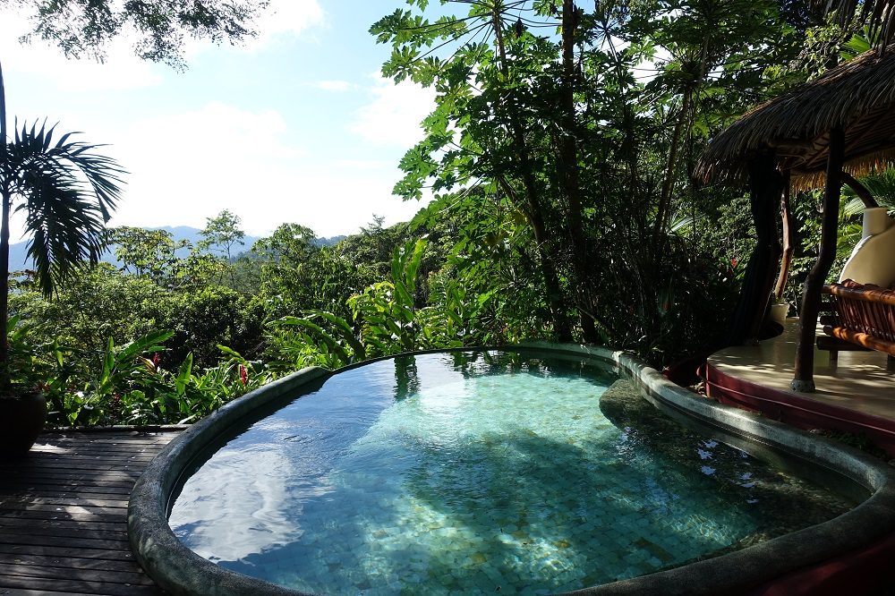 matapalo costa rica matapalo costa rica