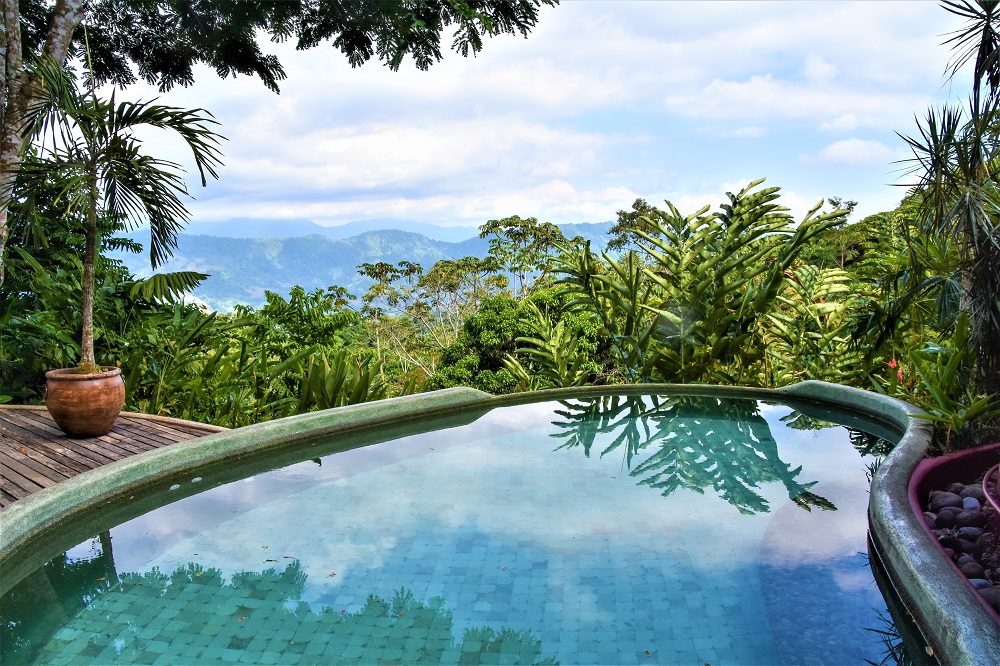 matapalo hotel