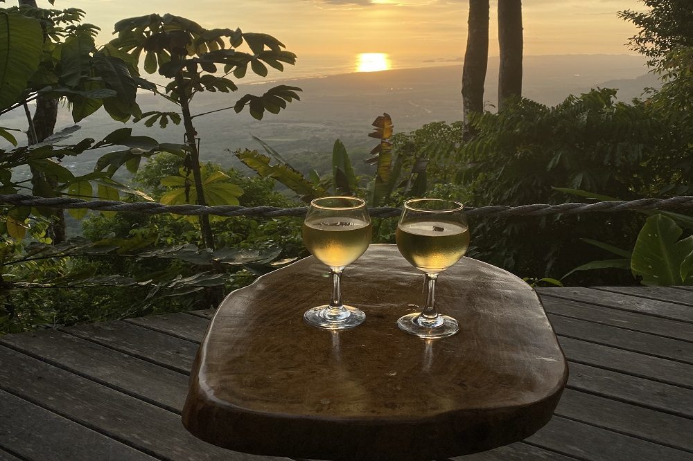 matapalo view matapalo view