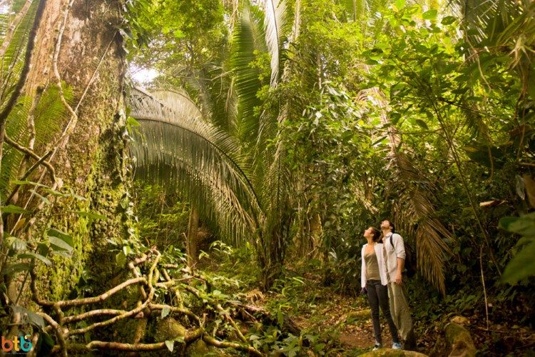 mayflower bocawina national park rondreis belize
