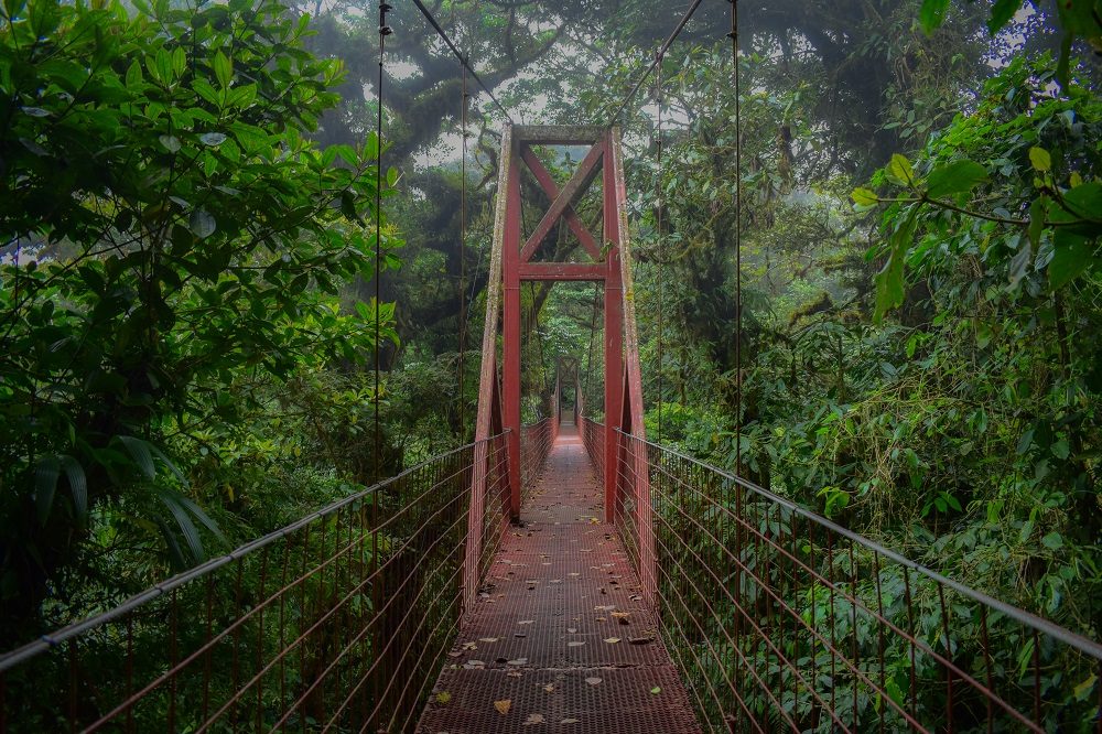 monteverde brug