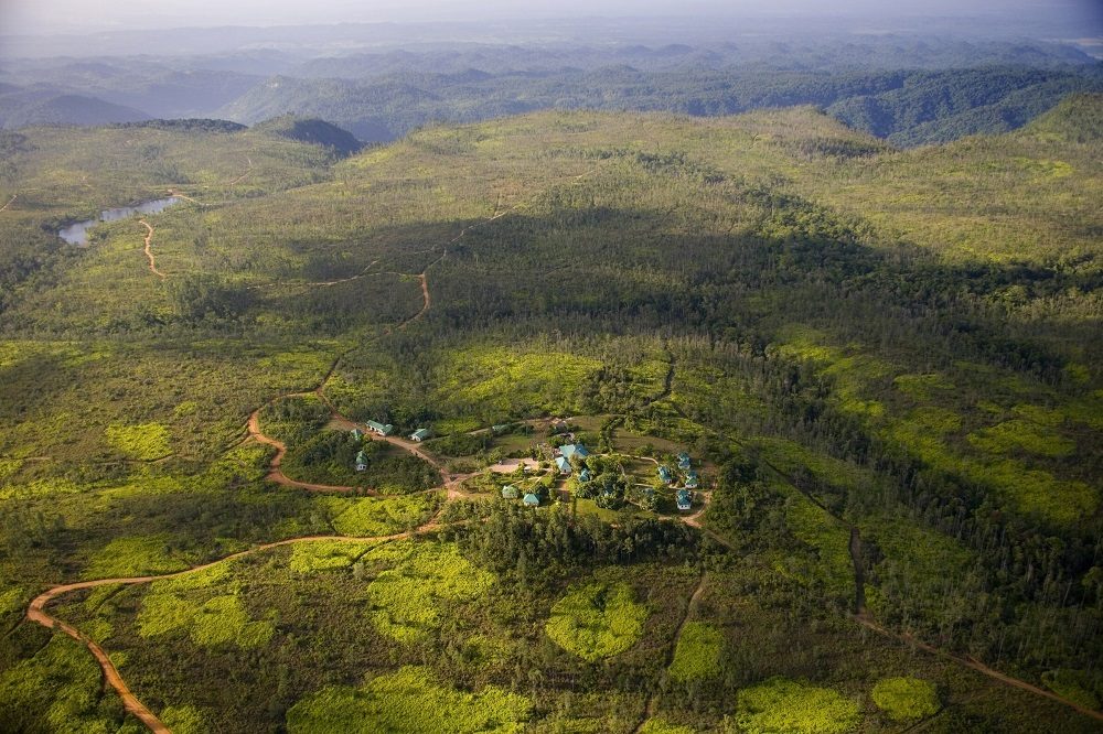 mountain pine ridge reserve belize