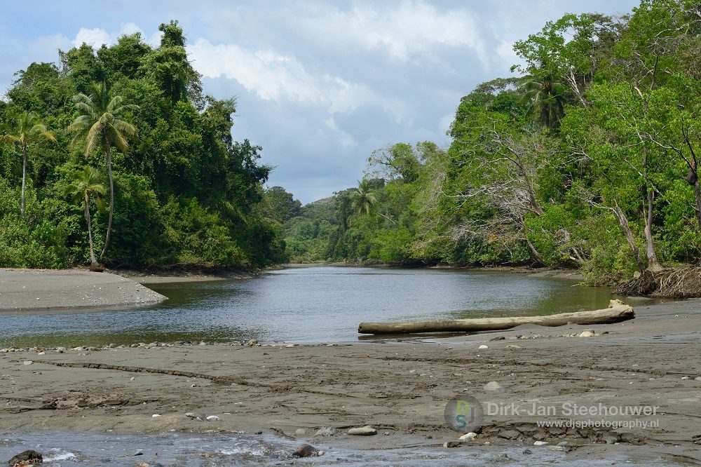 nationaal park corcovado costa rica fotoreis