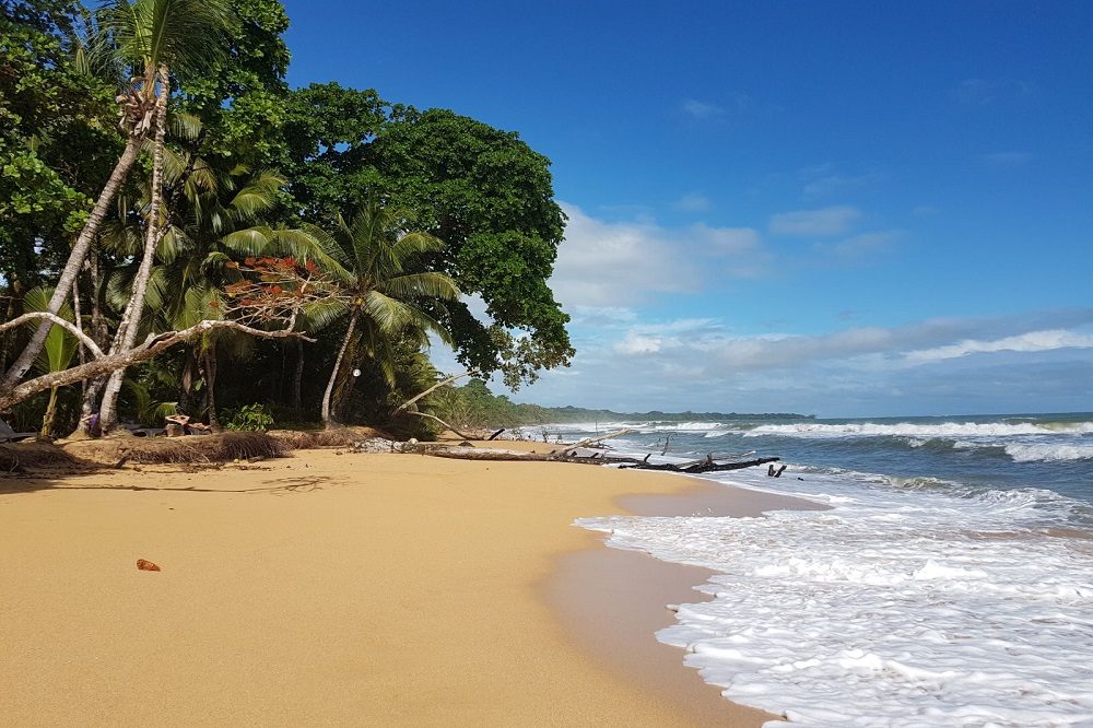 playa bluff bocas del toro