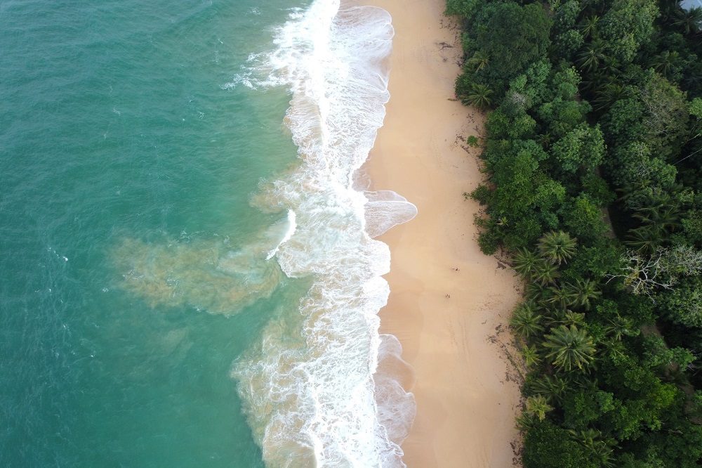 playa bluff bocas del toro